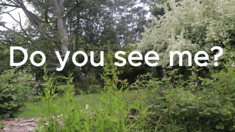 Do You See Me Social Thumbnail