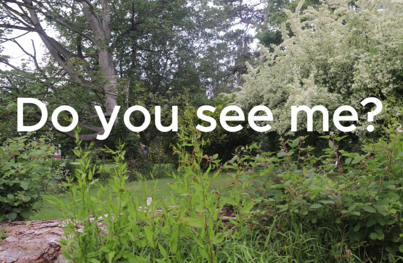 Do You See Me Social Thumbnail